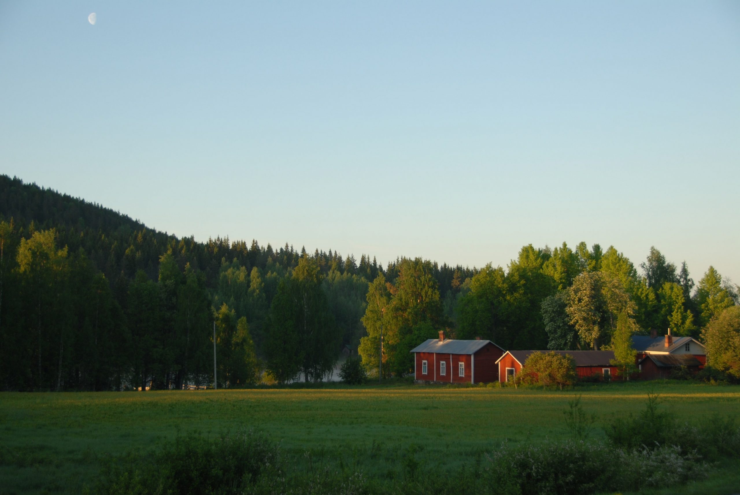 Hiltulanlahti ja Vanuvuori – Lintuyhdistys Kuikka ry