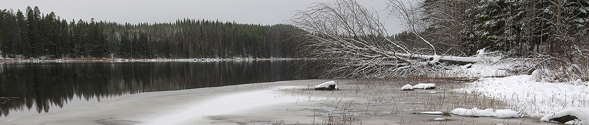 maisema; Tero Pelkonen