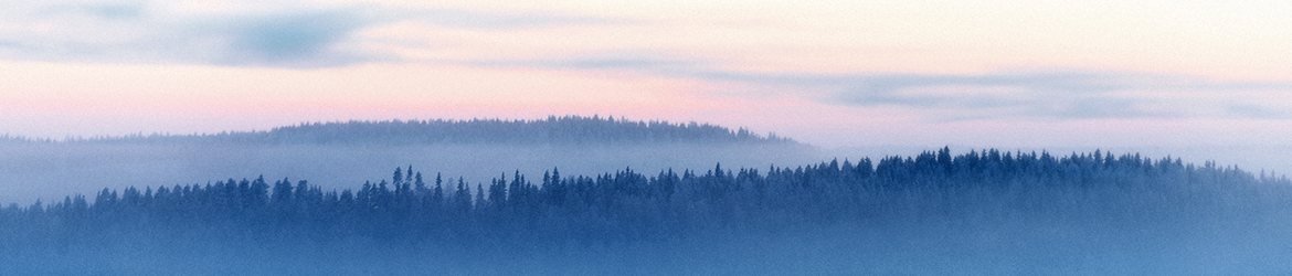 maisema; Tero Pelkonen