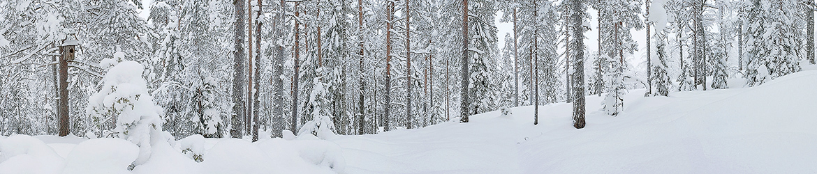 maisema; Tero Pelkonen