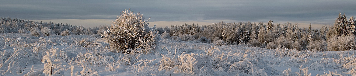 maisema; Tero Pelkonen