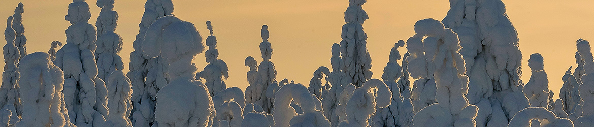 maisema; Tero Pelkonen