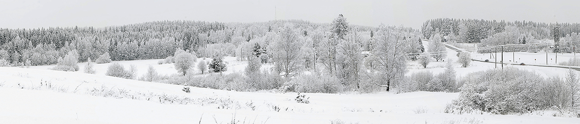 maisema; Tero Pelkonen