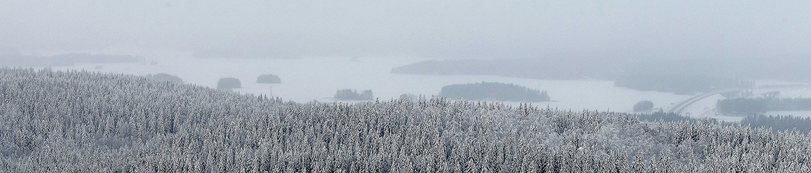 maisema; Tero Pelkonen